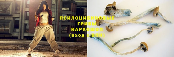 дурь Абинск