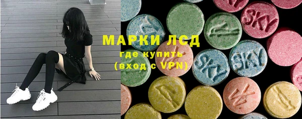 сатива Покачи