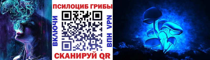 Псилоцибиновые грибы ЛСД Кадников