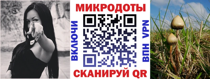 закладка Кадников Галлюциногенные грибы мухоморы